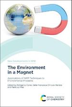 Environment in a Magnet