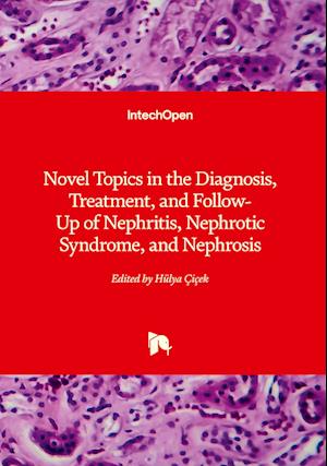 Novel Topics in the Diagnosis, Treatment, and Follow-Up of Nephritis, Nephrotic Syndrome, and Nephrosis