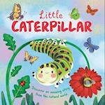 Little Caterpillar