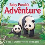 Baby Panda's Adventure