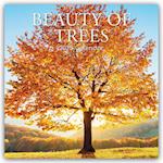 Beauty of Trees - Die Schönheit der Bäume 2025 - 16-Monatskalender