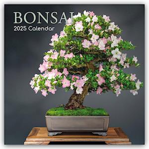 Bonsai - Bonsaibäume 2025 - 16-Monatskalender