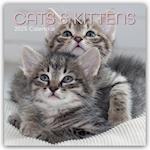 Cats & Kittens - Katzen & Kätzchen 2025 - 12-Monatskalender