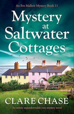 Mystery at Saltwater Cottages: An utterly unputdownable cozy mystery novel