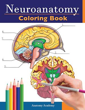 Neuroanatomy Coloring Book: Incredibly Detailed Self-Test Human Brain Coloring Book for Neuroscience | Perfect Gift for Medical School Students, Nurse