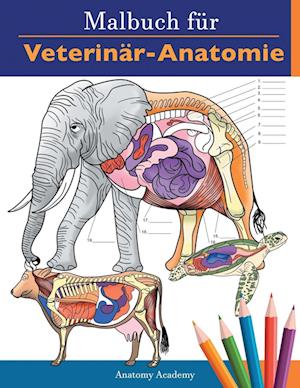 Malbuch für Veterinär-Anatomie