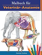 Malbuch für Veterinär-Anatomie