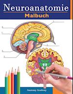 Neuroanatomie Malbuch