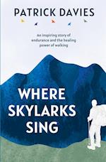 Where Skylarks Sing