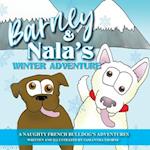 Barney and Nala's Winter Adventure 