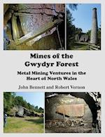 Mines of the Gwydyr Forest: Metal Mining Ventures in the Heart of North Wales 