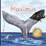 Maximus the Humpback Whale 