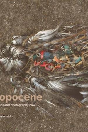 Surveying the Anthropocene: