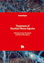 Treatment of Brachial Plexus Injuries