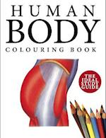 Human Body Colouring Bk