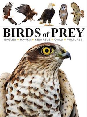 Birds of Prey