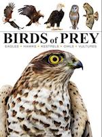 ME: Birds of Prey