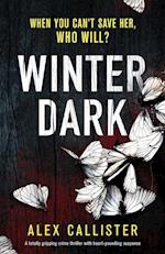 Winter Dark