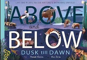 Above and Below: Dusk till Dawn