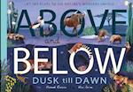 Above and Below: Dusk till Dawn
