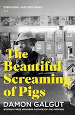 The Beautiful Screaming of Pigs