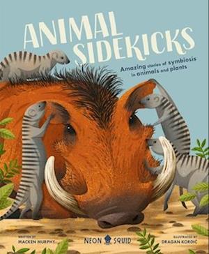 Animal Sidekicks