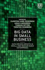 Big Data in Small Business