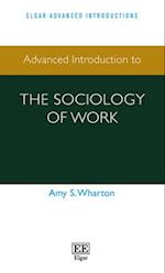 Advanced Introduction to the Sociology of Work