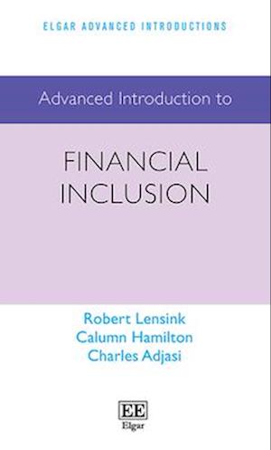 Advanced Introduction to Financial Inclusion