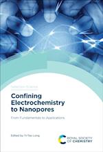 Confining Electrochemistry to Nanopores