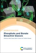 Phosphate and Borate Bioactive Glasses