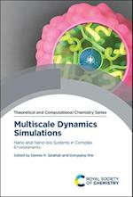 Multiscale Dynamics Simulations