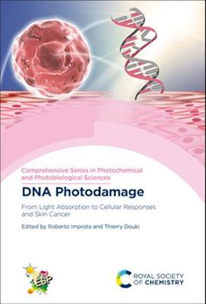 DNA Photodamage