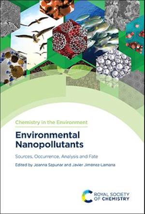 Environmental Nanopollutants