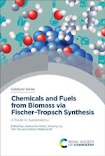 Chemicals and Fuels from Biomass via Fischer–Tropsch Synthesis