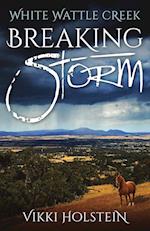 Breaking Storm 