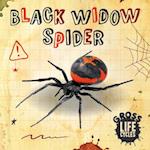 Black Widow Spider