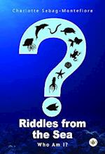 Riddles from the Sea