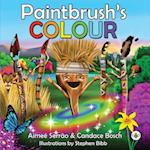 A Paintbrush's Colour 
