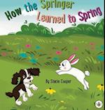 How the Springer Learned to Spring