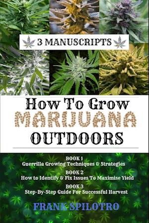 HOW TO GROW MARIJUANA OUTDOORS