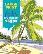 Large Print Calm Colour by Numbers