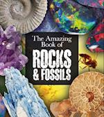The Amazing Book of Rocks and Fossils