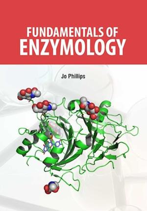 Fundamentals of Enzymology