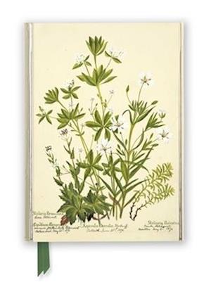 RBGE: Charlotte Cowan Pearson: Stitchworts, Woodruff and Pepperwort (Foiled Journal)