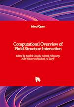 Computational Overview of Fluid Structure Interaction