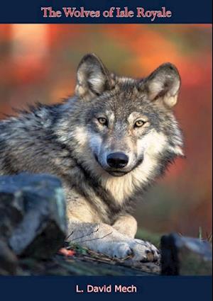 Wolves of Isle Royale