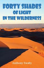 Forty Shades of Light in the Wilderness 