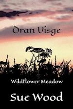 Òran Uisge - Wildflower Meadow 