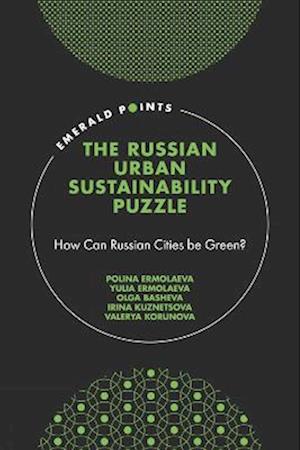 Russian Urban Sustainability Puzzle